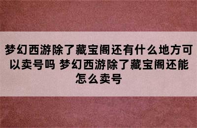 梦幻西游除了藏宝阁还有什么地方可以卖号吗 梦幻西游除了藏宝阁还能怎么卖号